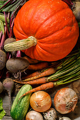 Image showing Pumpkin and harvest vegetables