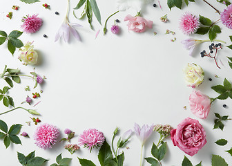 Image showing border of pink and white roses with green leaves