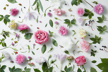 Image showing elegant background of pink roses