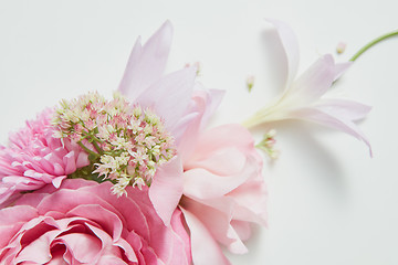 Image showing frame on the corner of a pink flower