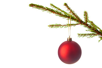 Image showing Decoration bauble on decorated Christmas tree iso