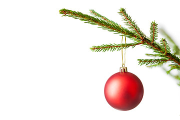 Image showing Decoration bauble on decorated Christmas tree iso