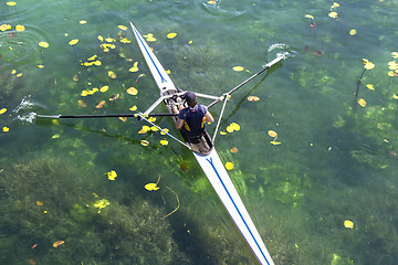 Image showing A Young single scull rowing competitor paddles on the tranquil l