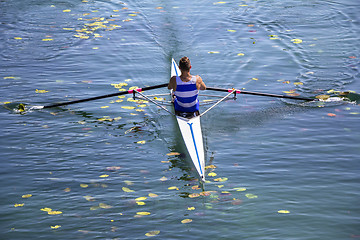 Image showing A Young single scull rowing competitor paddles on the tranquil l