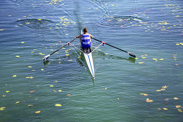 Image showing A Young single scull rowing competitor paddles on the tranquil l