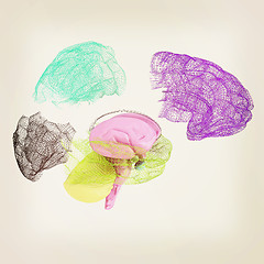 Image showing Creative concept of the human brain. 3D illustration. Vintage st