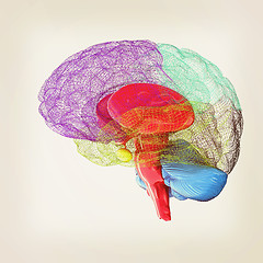 Image showing Creative concept of the human brain. 3D illustration. Vintage st