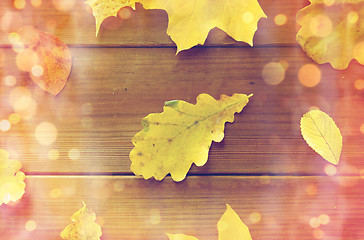 Image showing close up of many different fallen autumn leaves