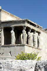 Image showing flowers and history