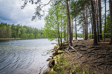 Image showing Spring landscape in the forest lake