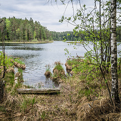 Image showing Spring landscape in the forest lake