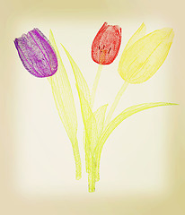 Image showing Tulip flower. 3D illustration. Vintage style.