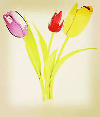 Image showing Tulip flower. 3D illustration. Vintage style.