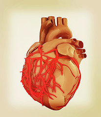 Image showing Human heart. 3D illustration. Vintage style.