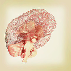 Image showing Creative concept of the human brain. 3D illustration. Vintage st