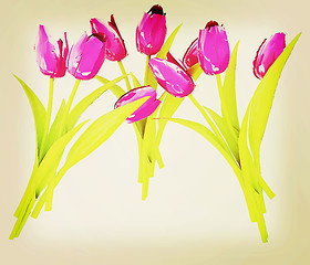 Image showing Tulip flower. 3D illustration. Vintage style.