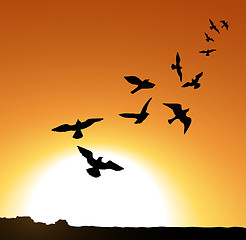 Image showing Birds at Sunrise