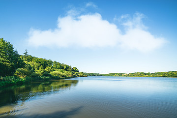 Image showing Lake scenery with green trees