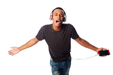 Image showing Singing along while listening to music