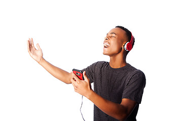 Image showing Singing along while listening to music