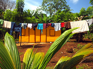 Image showing zinc sheet metal house  jungle with laundry drying Quinn Hill Bi