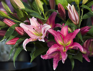 Image showing Flower arrangement