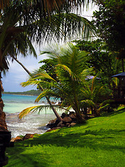 Image showing tropics scene of Long Bay harbor beach  tropical trees Big Corn 