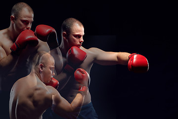 Image showing Young Boxer boxing 