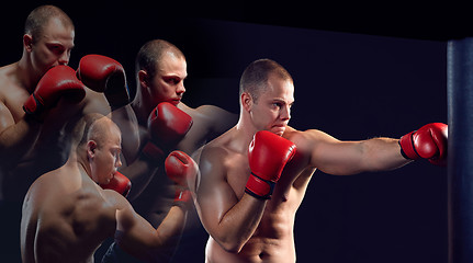 Image showing Young Boxer boxing