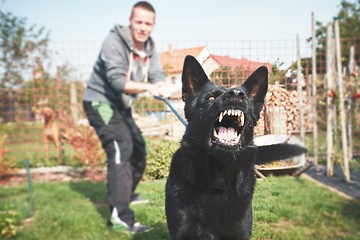Image showing Aggressive dog is barking