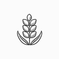 Image showing Wheat sketch icon.
