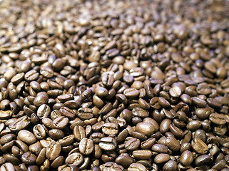 Image showing Coffee beans