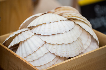 Image showing close up of seashells in wooden box