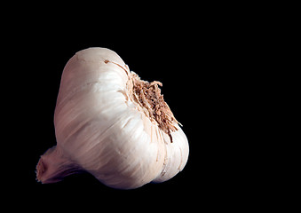 Image showing Garlic