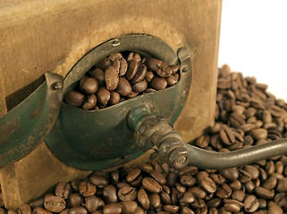 Image showing Coffee mill