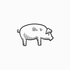Image showing Pig sketch icon.
