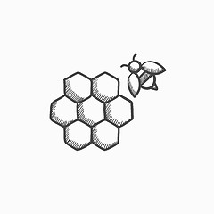 Image showing Honeycomb and bee sketch icon.