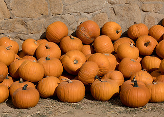 Image showing Ripe autumn pumpkins on the farm