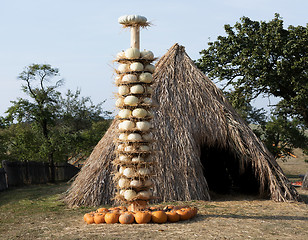 Image showing Ripe autumn pumpkins arranged on totem