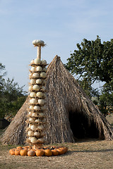 Image showing Ripe autumn pumpkins arranged on totem