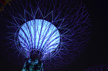 Image showing Supertree Grove, Gardens by the Bay in Singapore