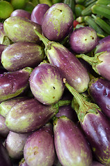 Image showing Raw ripe Eggplant