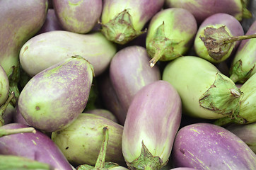 Image showing Raw ripe Eggplant