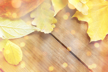 Image showing close up of many different fallen autumn leaves