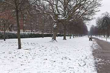 Image showing Snow in Hyde Park
