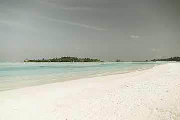Image showing maldives island beach with palm tree and villa