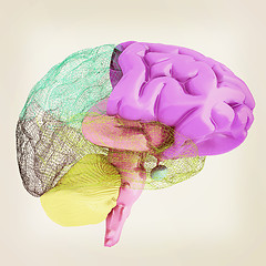 Image showing Creative concept of the human brain. 3D illustration. Vintage st