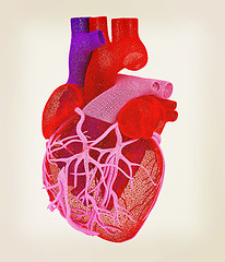 Image showing Human heart. 3D illustration. Vintage style.