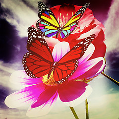 Image showing Beautiful Flower and butterfly against the sky . 3D illustration