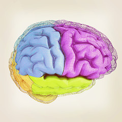 Image showing Creative concept of the human brain. 3D illustration. Vintage st